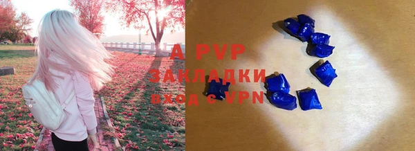 spice Абинск